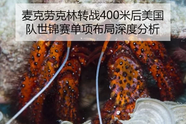 麦克劳克林转战400米后美国队世锦赛单项布局深度分析
