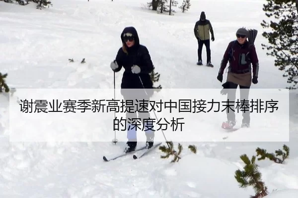 谢震业赛季新高提速对中国接力末棒排序的深度分析